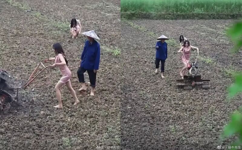 中国微博出现不少所谓“农媛”吸流量。(微博)