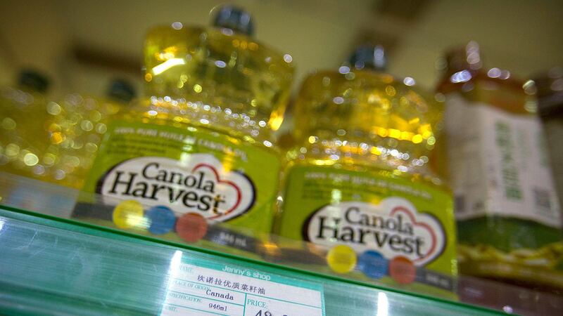 2019年3月1日，发生第一家加拿大油菜籽出口商理查森公司(Richardson International Ltd) 被以品质不佳为由，遭中国禁止进口后，中国当局对加拿大油菜籽产品下了全面禁令。图为加拿大菜籽油。（资料图/美联社）