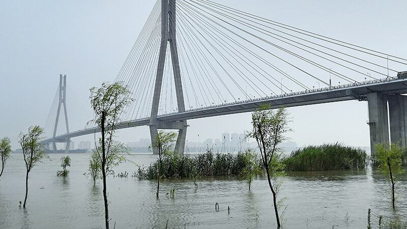 资料图片:2019年7月,长江安徽安庆段超过警戒水位。(Public Domain)