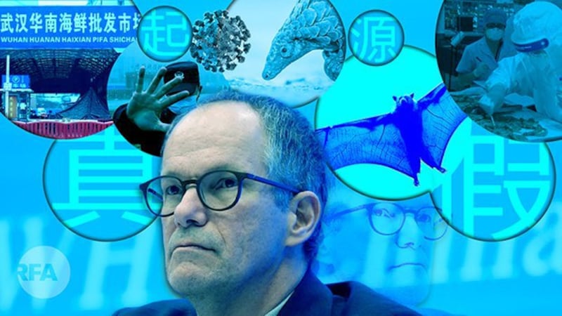 泄密文件显示，武汉科学家曾计划将经过强化、可由空气传播的冠状病毒释放到蝙蝠洞穴中。（自由亚洲电台制图）