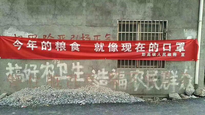 年轻人进城打工,农村很多耕地被撂荒。(网络图片/乔龙提供)