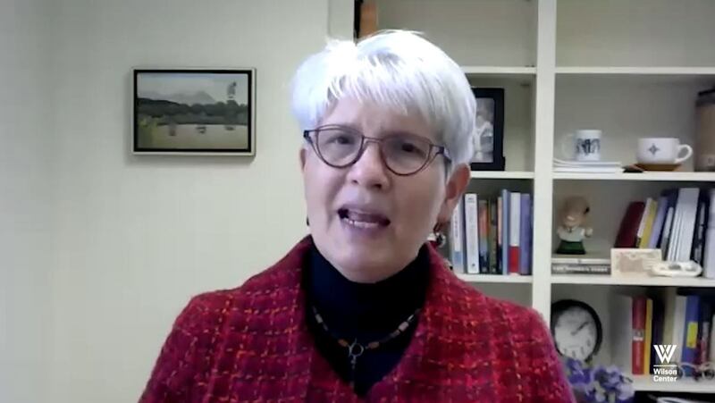 美国戴维森学院政治学教授任雪丽（Shelly Rigger）。（视频截图/Wilson Center）